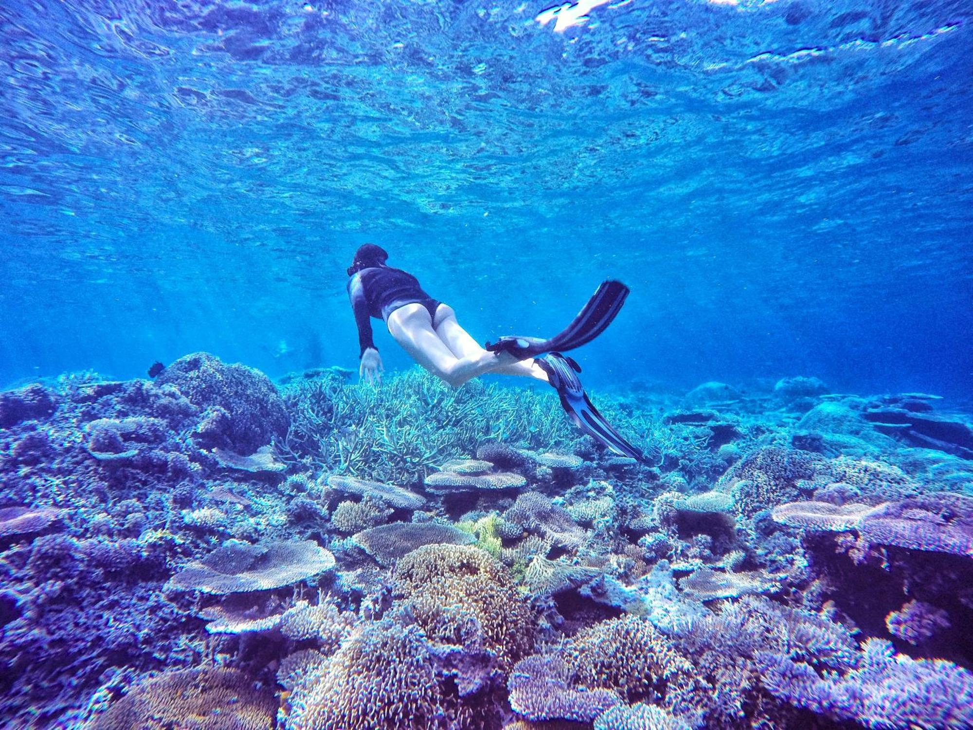 Bolilanga Island Resort - Togean Island Angkayo ภายนอก รูปภาพ