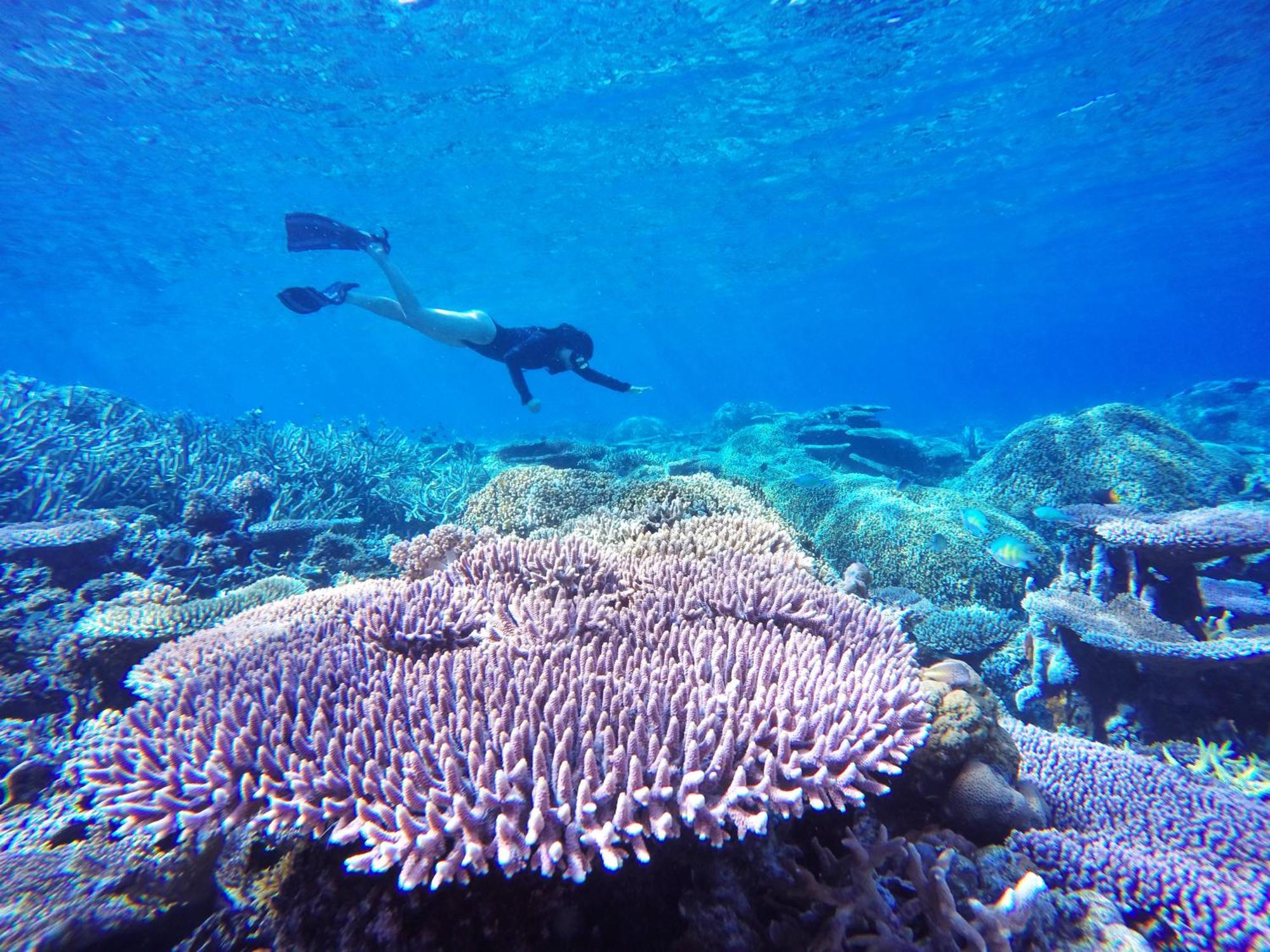 Bolilanga Island Resort - Togean Island Angkayo ภายนอก รูปภาพ