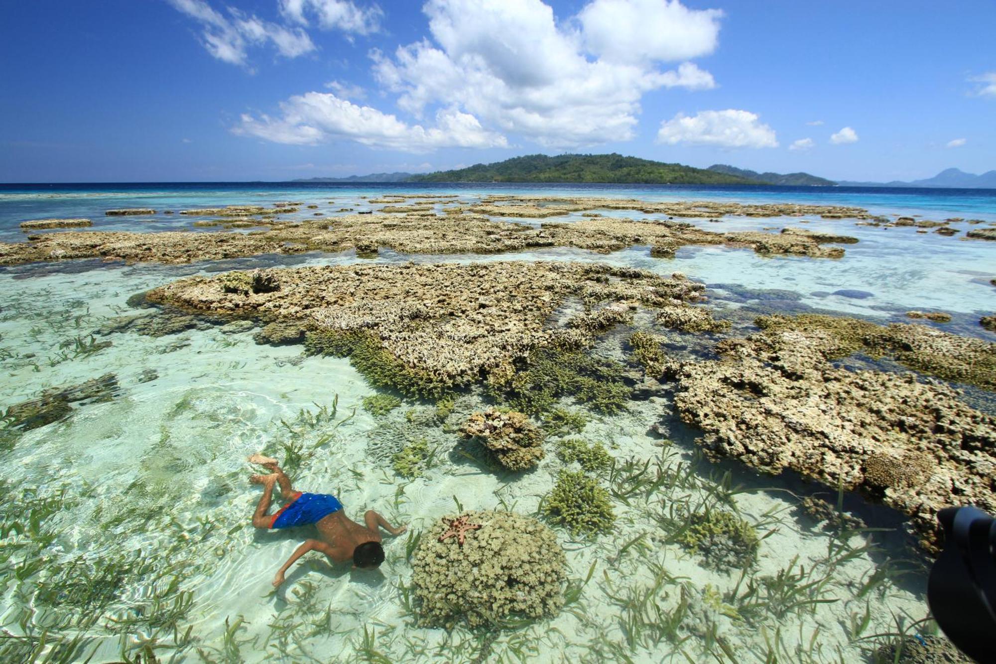 Bolilanga Island Resort - Togean Island Angkayo ภายนอก รูปภาพ