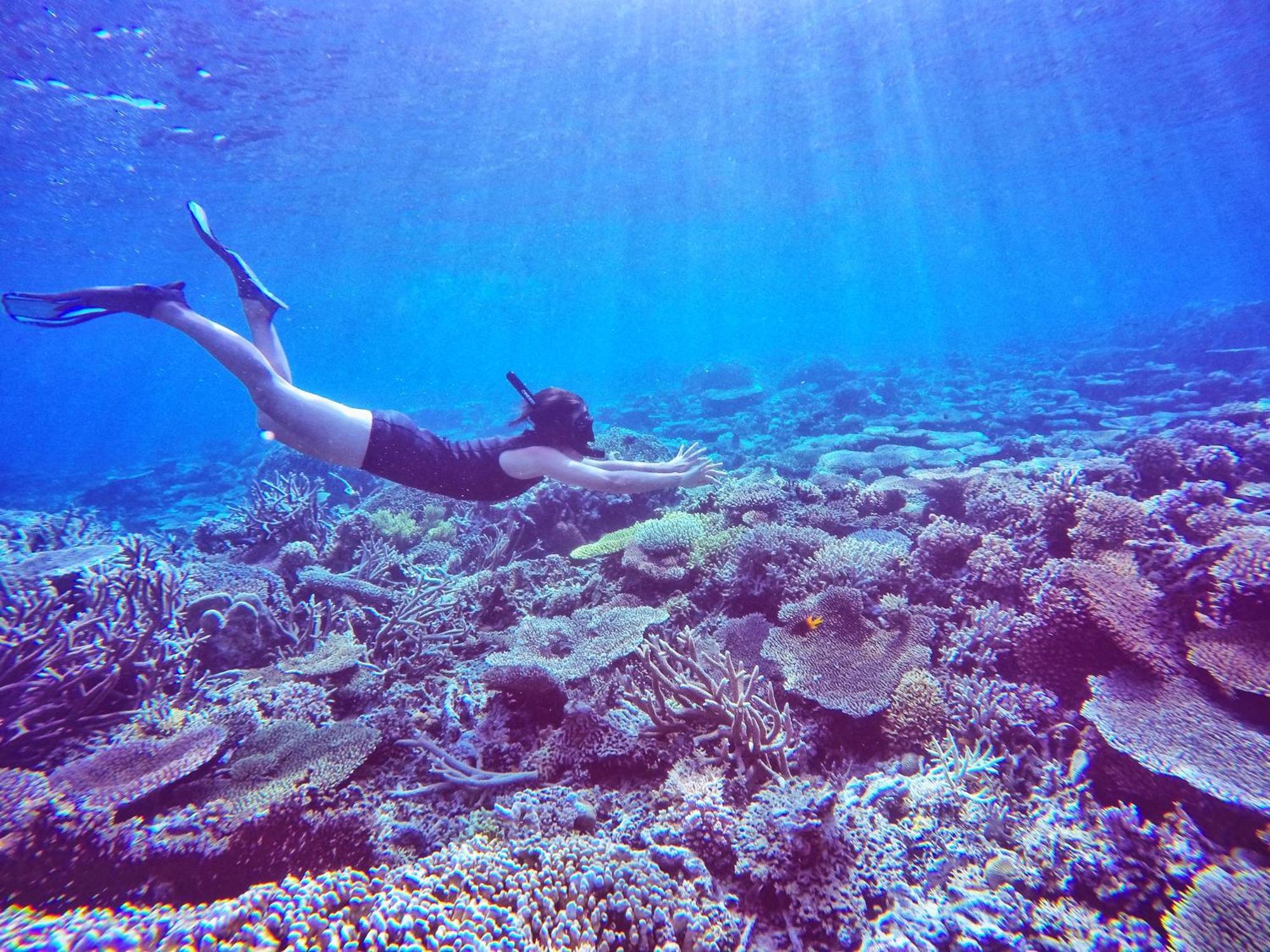 Bolilanga Island Resort - Togean Island Angkayo ภายนอก รูปภาพ